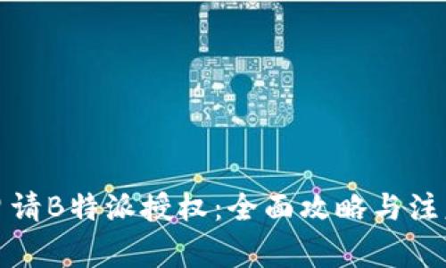 如何申请B特派授权：全面攻略与注意事项