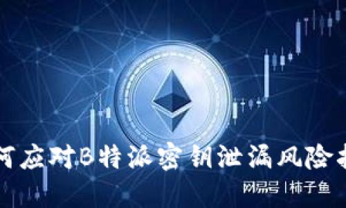 如何应对B特派密钥泄漏风险指南