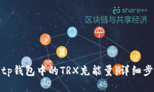 如何为Bitp钱包中的TRX充能量：详细步骤与技巧