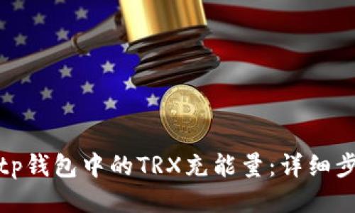 如何为Bitp钱包中的TRX充能量：详细步骤与技巧