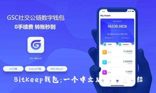 BitKeep钱包：一个中文版的全面介绍