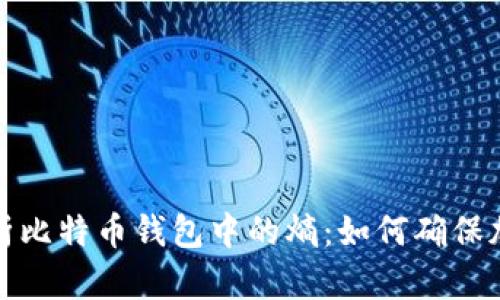 深入解析比特币钱包中的熵：如何确保加密安全