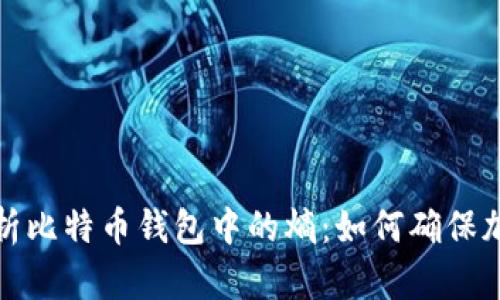 深入解析比特币钱包中的熵：如何确保加密安全
