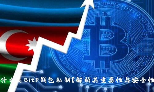 什么是BitP钱包私钥？解析其重要性与安全性
