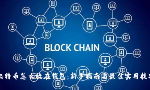 比特币怎么放在钱包：新手指南与最佳实用技巧