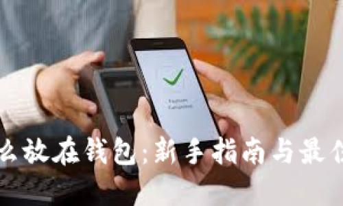 比特币怎么放在钱包：新手指南与最佳实用技巧